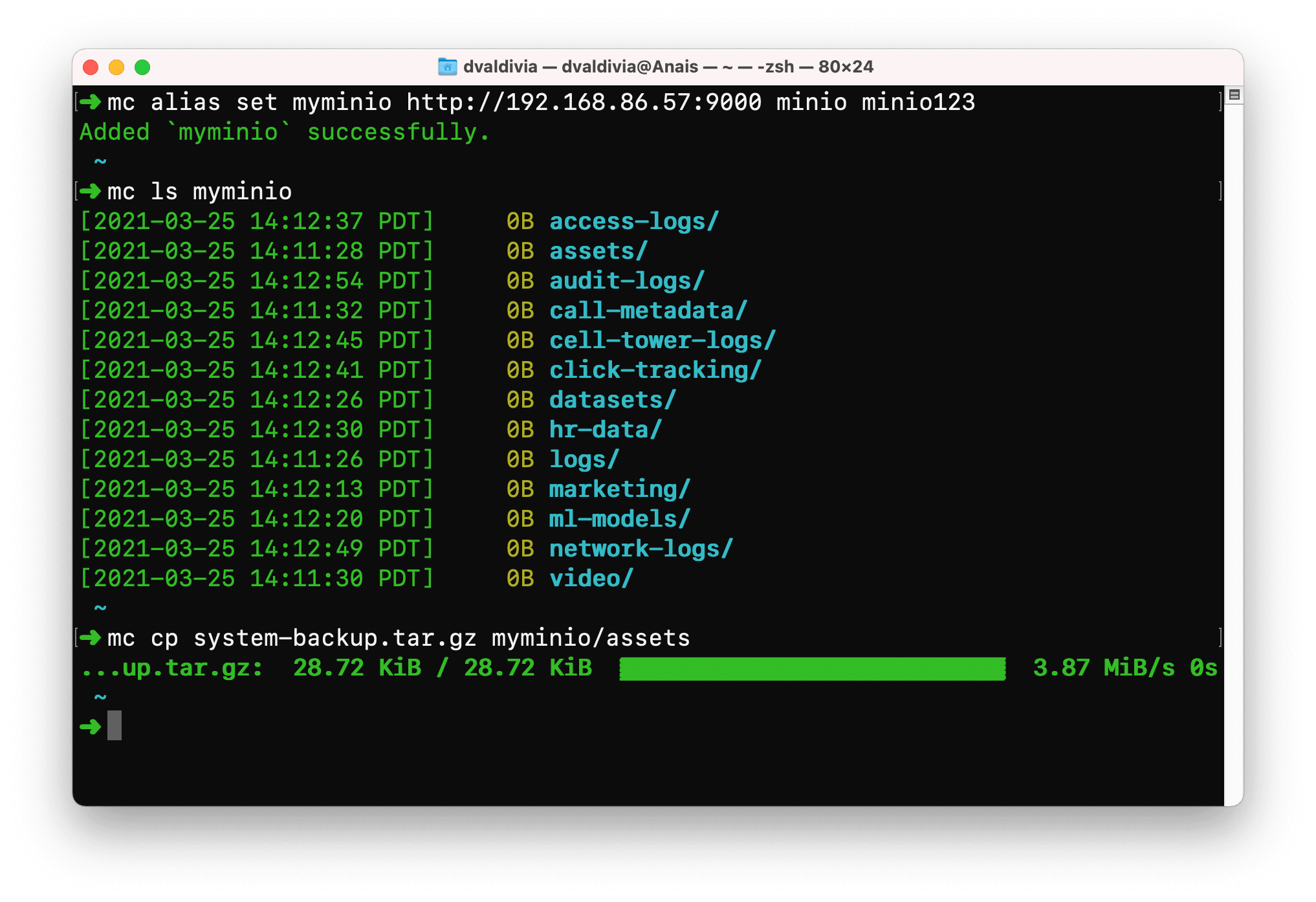 MinIO Data Management Interfaces - MinIO CLI